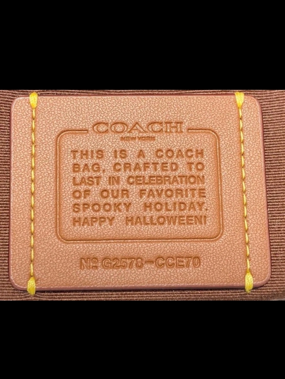 Coach-City Tote Bag Signature Canvas  Pumpkin Print 🎃 - Picture 7 of 9